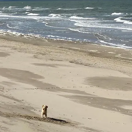 Ferienhaus Nr 86 Fuer Bis Zu 6 Persdirekt Am Wattenmeer, Hundefreundlich Eingezaeunt - B51306 בית נופש Westerland
