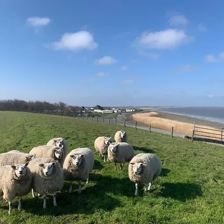 Ferienhaus Nr 86 Fuer Bis Zu 6 Persdirekt Am Wattenmeer, Hundefreundlich Eingezaeunt - B51306